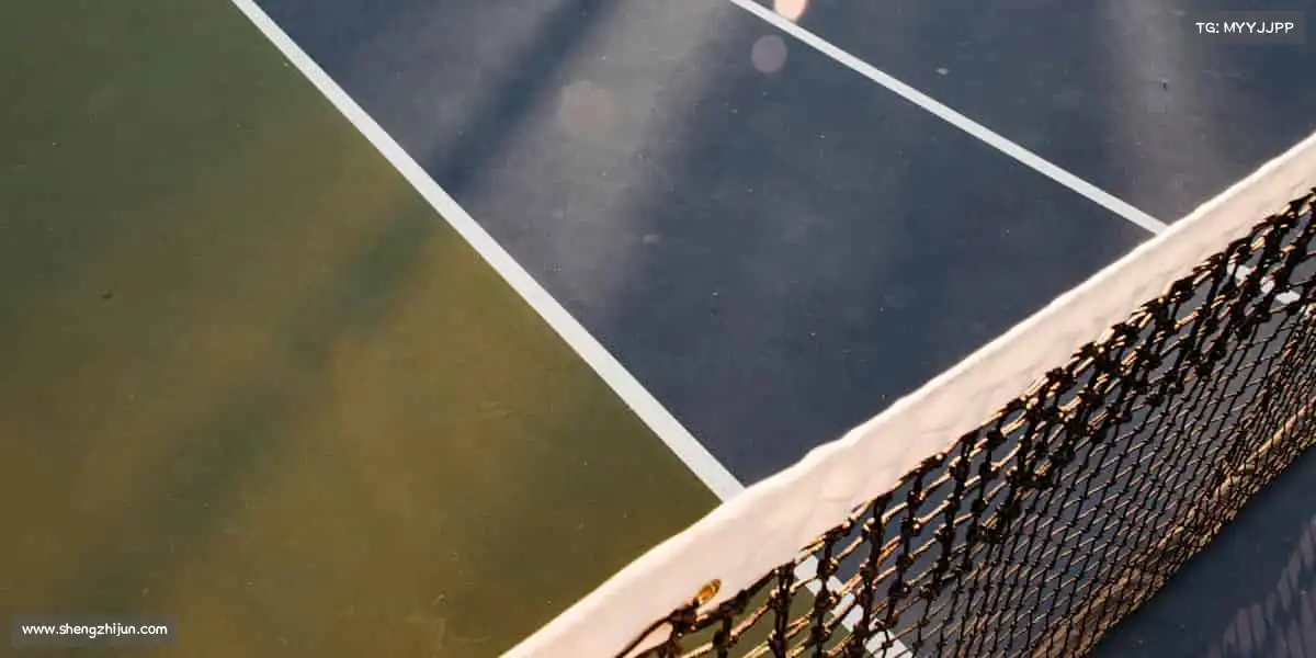 <strong>DB电竞官网</strong>体育不止于竞技，更是对生活的热爱与坚持！🏓❤️